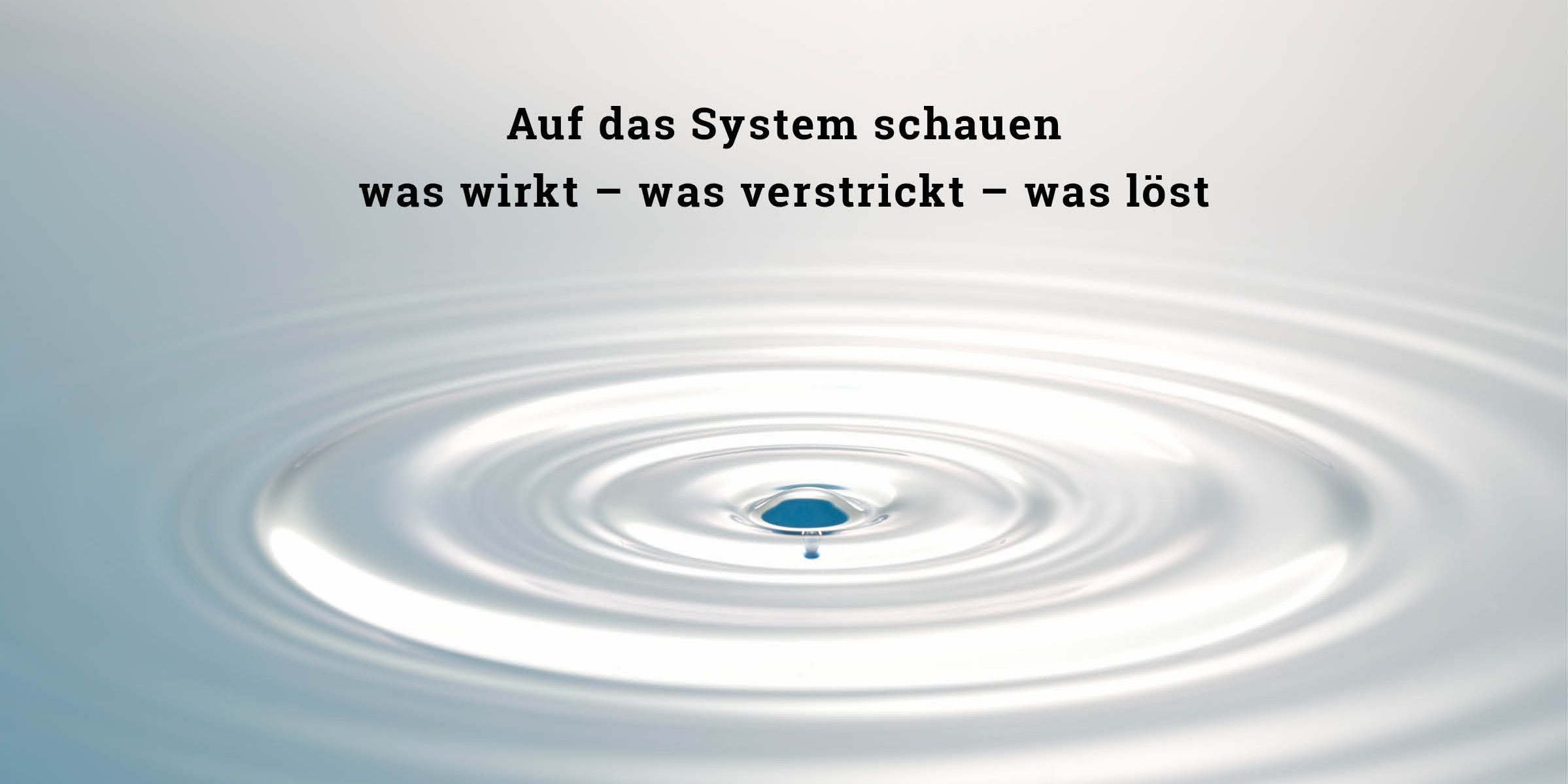 Lerne auf das Familiensystem schauen